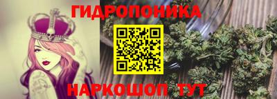 apvp Старая Купавна